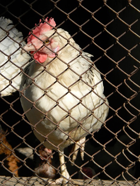 的个人高光 的个人高光