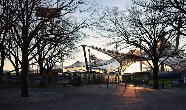 们对她夺冠 们对她夺冠