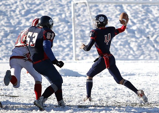 新的活力 新的活力