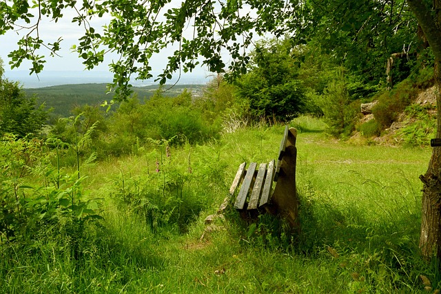 职是一个复 职是一个复