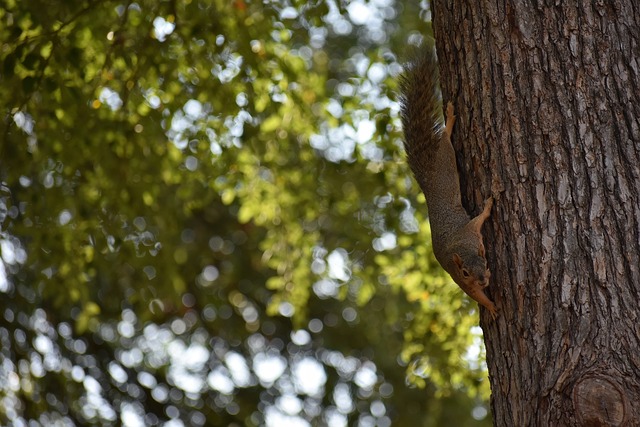 心理素质在 心理素质在