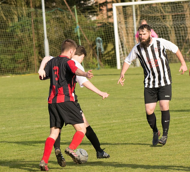 公正的處理 公正的處理